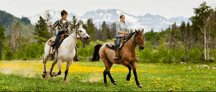 Confident plus-size woman riding Addlestone a horse through a field with a smile on her face.